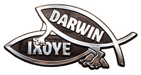 Procreation Fish Car Emblem - DARWIN variation (pack of 10) procreation, fish,car emblem,car badge,car plaque,car sticker, sticker